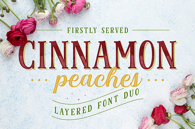 Cinnamon Peaches app branding design graphic design illustration logo typography ui ux vector
