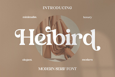 Heibird Modern Serif Font app branding design graphic design illustration logo typography ui ux vector