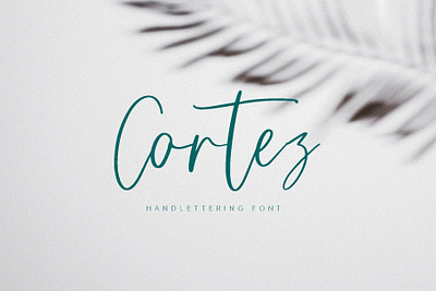 Cortez | Handwritten Font app branding design graphic design illustration logo typography ui ux vector