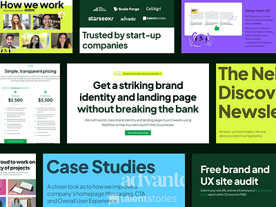 Nektic Website Design branding design graphic design illustration kit logo typography ui ux