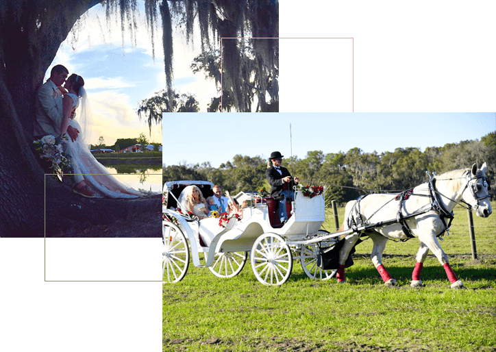 breathtaking-barn-wedding-venues-in-florida-affordable-prices-by