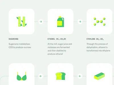 Sugarcup™ The Process bra design green icon icons illustration process steps sugarcane sugarcup sustainability typography ui