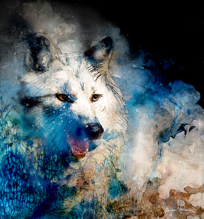 Loup blanc