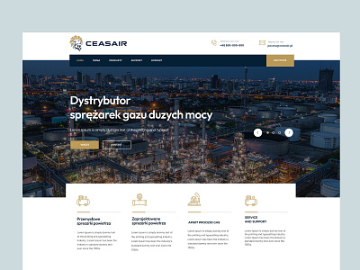 Ceasair design graphic design ui user experience user interface ux web design