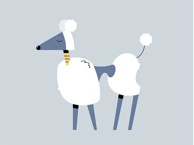 You? But I cannot see animal dog grey illustration poodle simple vector