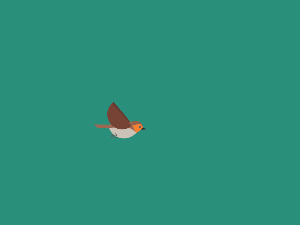 Birdy Flying 2d animation bird flying illustration motion graphics