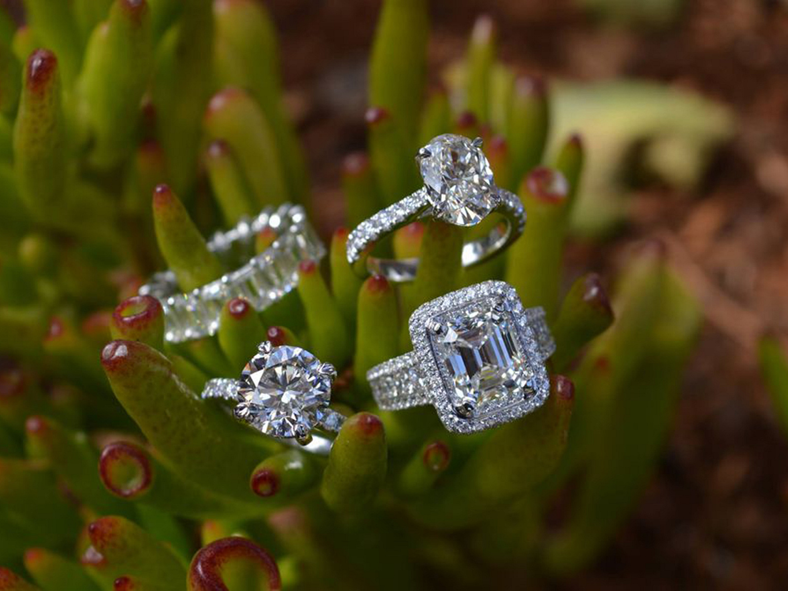 Lab Grown Diamonds In San Diego, CA by Roberes Jewelry on Dribbble