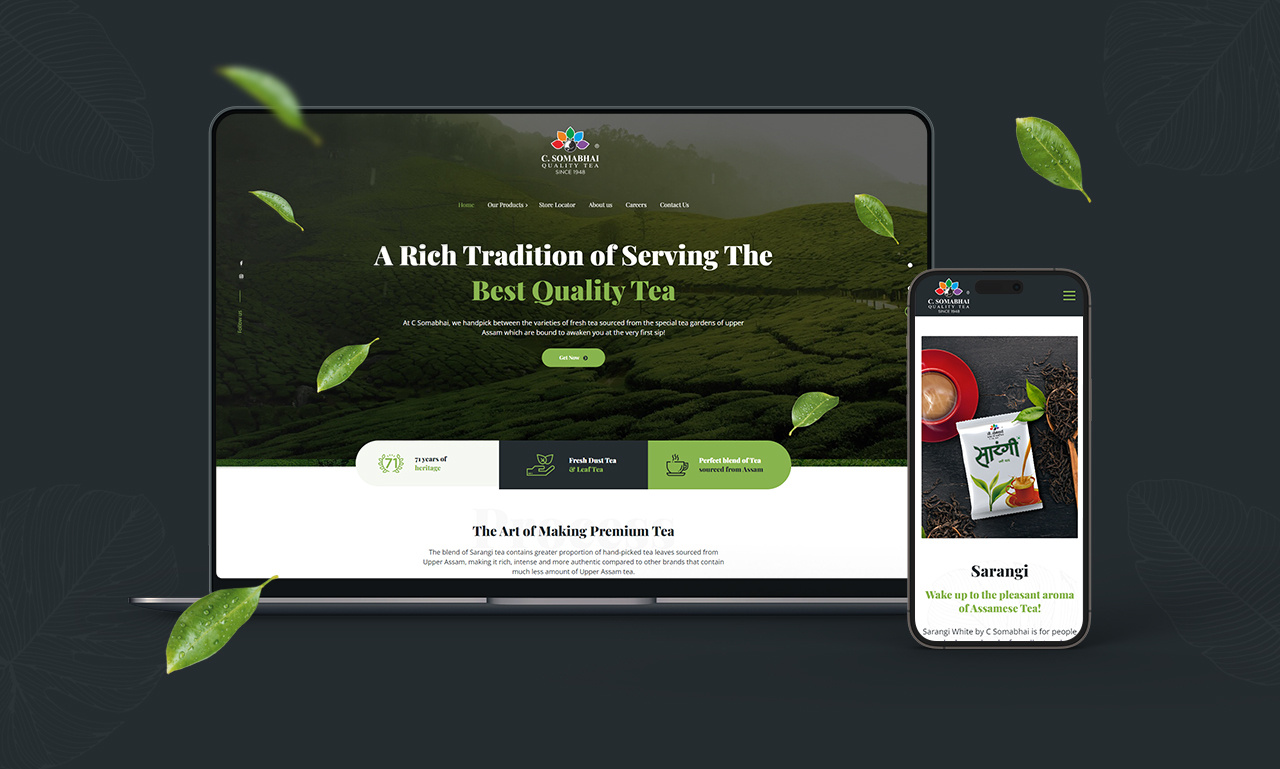 Example of Website Design And Devlopment 