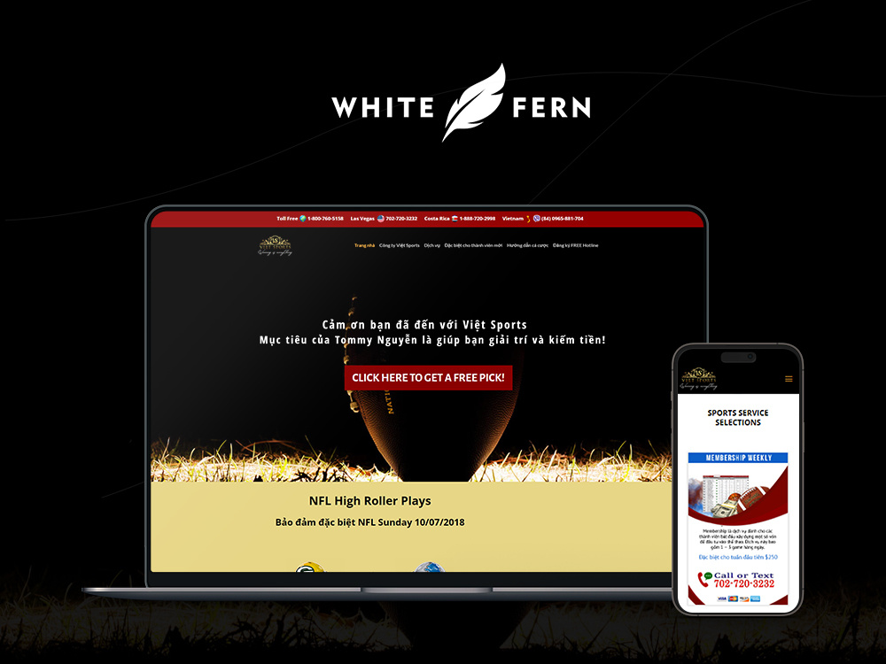 Example of Website Design And Devlopment 