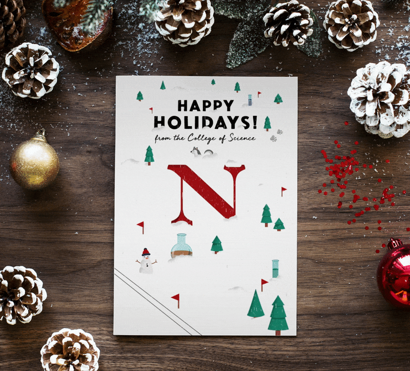 Northeastern University Holiday Cards animation cards christmas holiday illustration