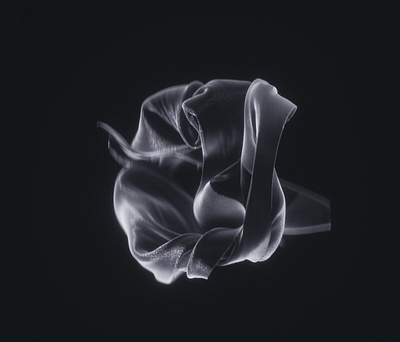 Dark Matter 3d animation animation art art direction c4d cinema4d cloth dark design illustration logo model motion art octane render ribbon