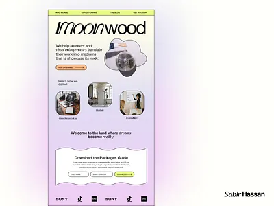 Website Design design graphic design typography ui