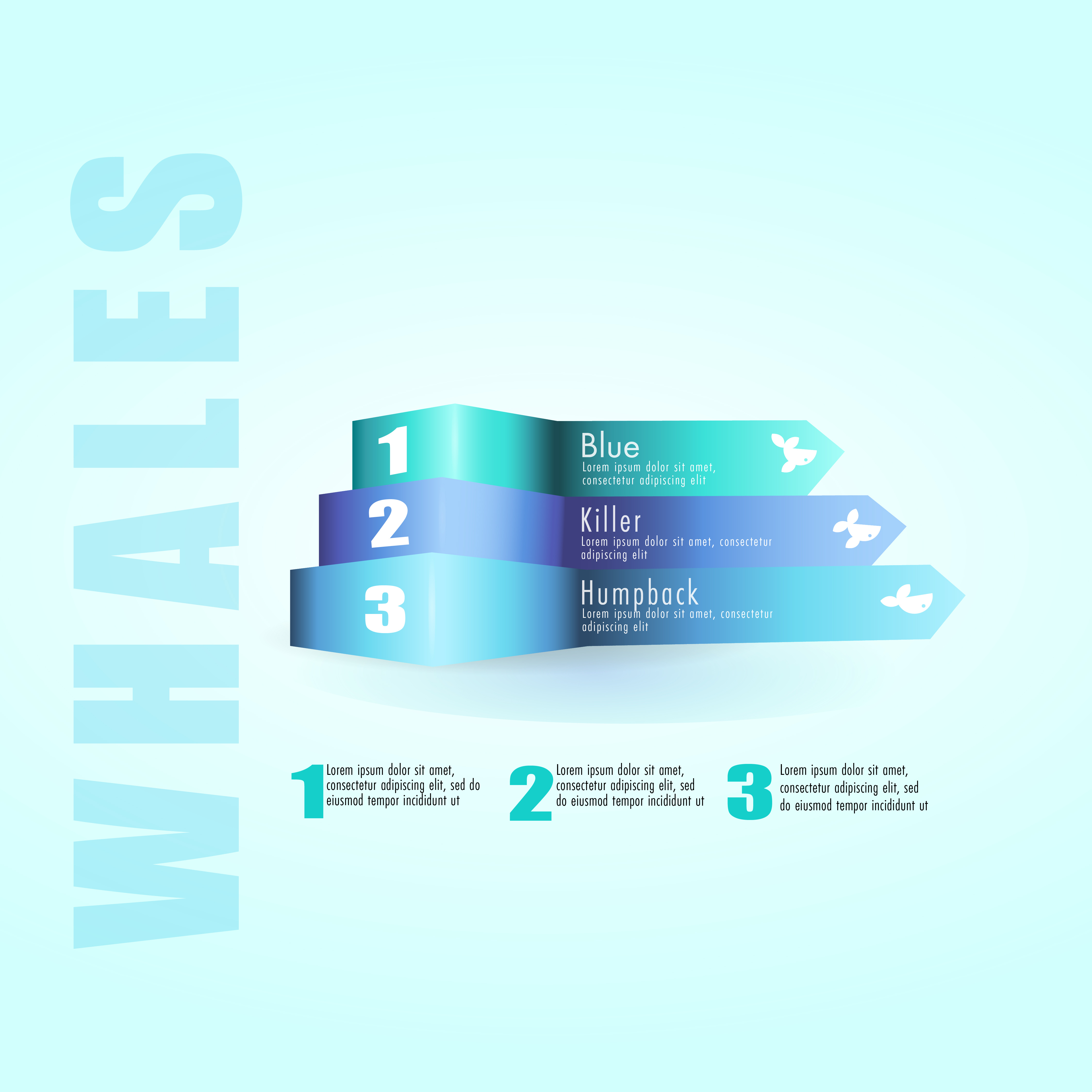 Infographic graphic design illustration infographic