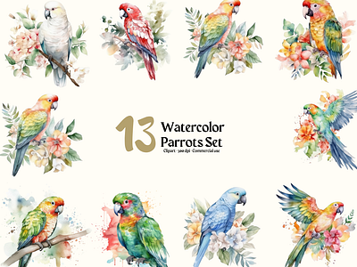 Watercolor Parrots birds files png watercolor parrots