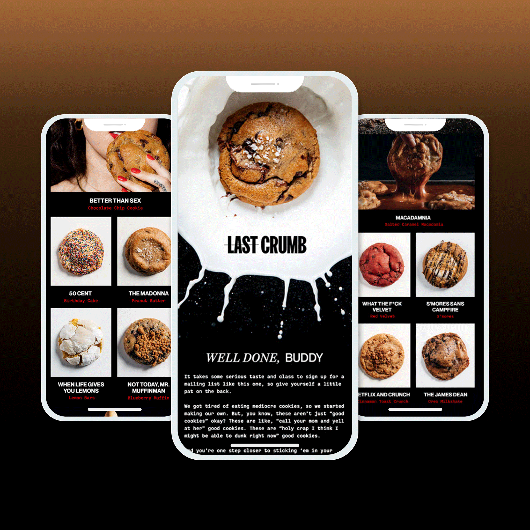 LAST CRUMB branding email email design graphic design illustration