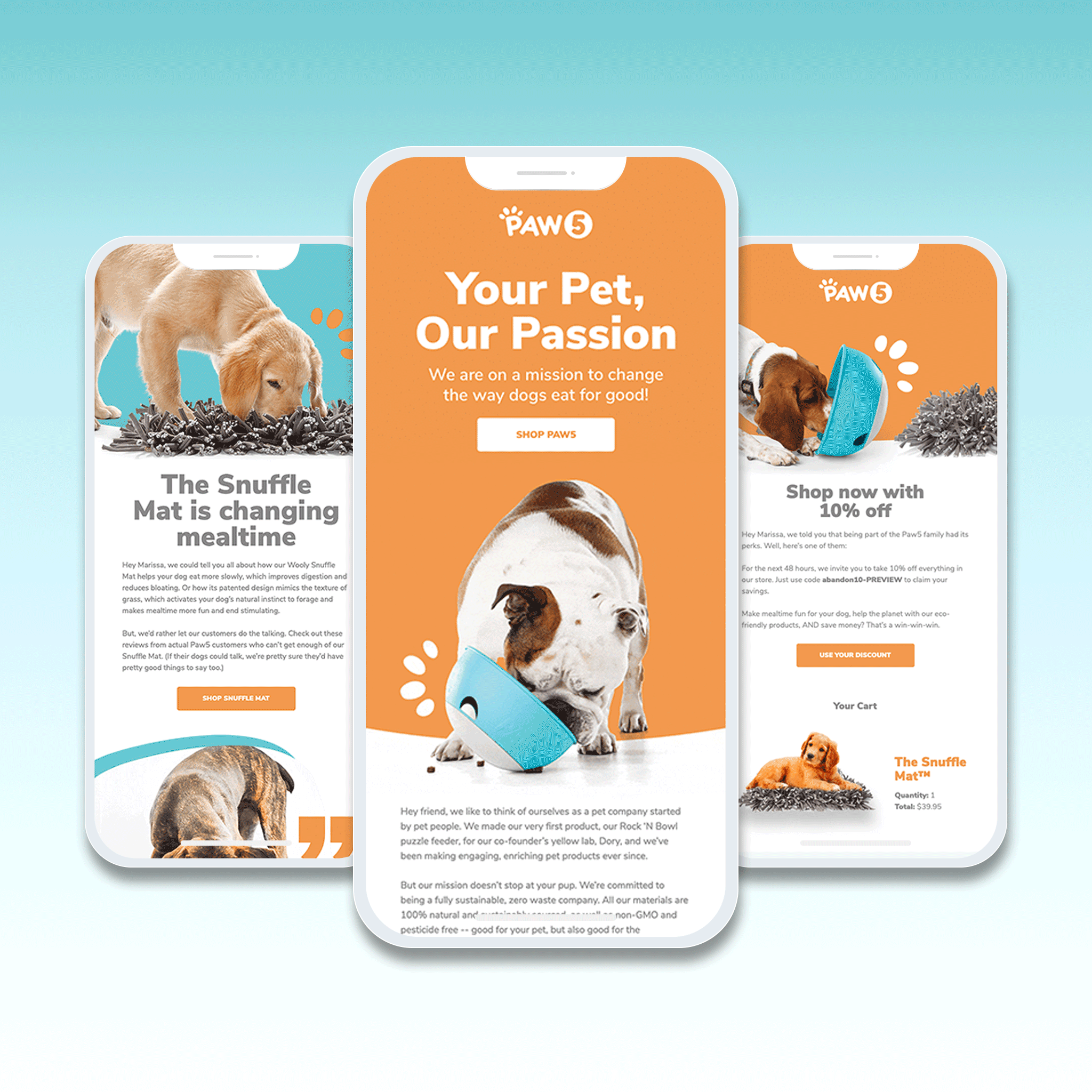 PAW 5 branding email email design graphic design illustration