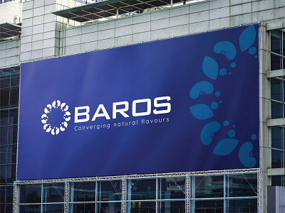 Baros: Logo, Website & Brand Identity branding graphic design logo