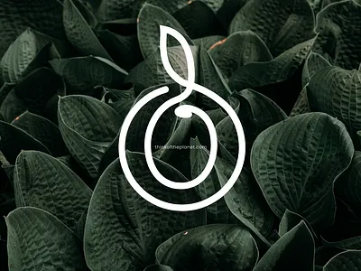 Eco Brand / Branding Identity agency branding brand agency brand and identity branding design illustration illustrator logo ui vector