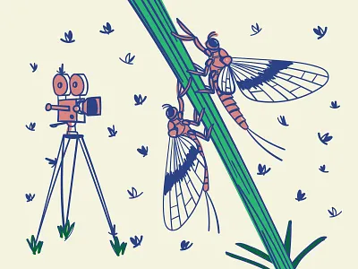 Shad Fly Season bug bugs camera design film film camera graphic design illustration may flies may fly shad flies shad fly vector illustration