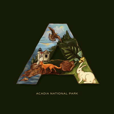 Nature Alphabet alphabet animal illustration fauna flora handlettering illustration lettering letters national parks nature art nature illustration