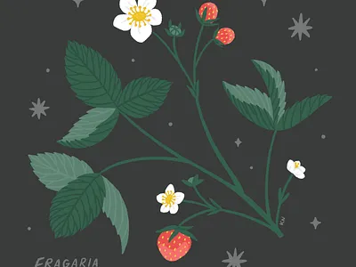Strawberries art drawing food illustration nature procreate