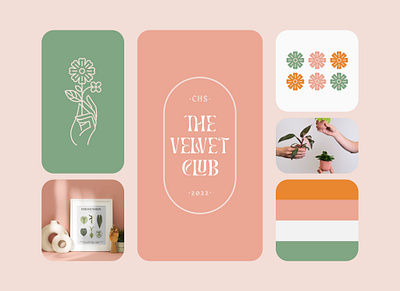 The Velvet Club Branding club hobby houseplants the velvet club