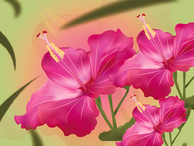 Digital Art - Hibiscus digitalart digitalpainting graphic design illustration ui ux vector webdesign