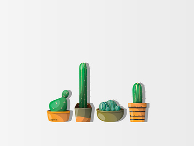 Cactus Illustration cactus design graphic design illustration