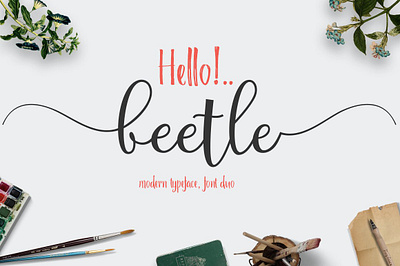 beetle app branding design graphic design illustration logo typography ui ux vector