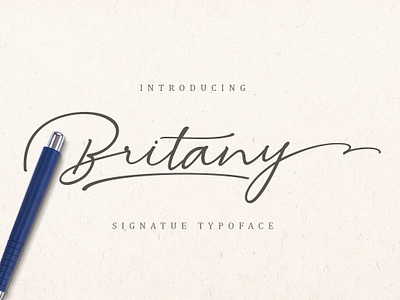 Britany app branding design graphic design illustration logo typography ui ux vector