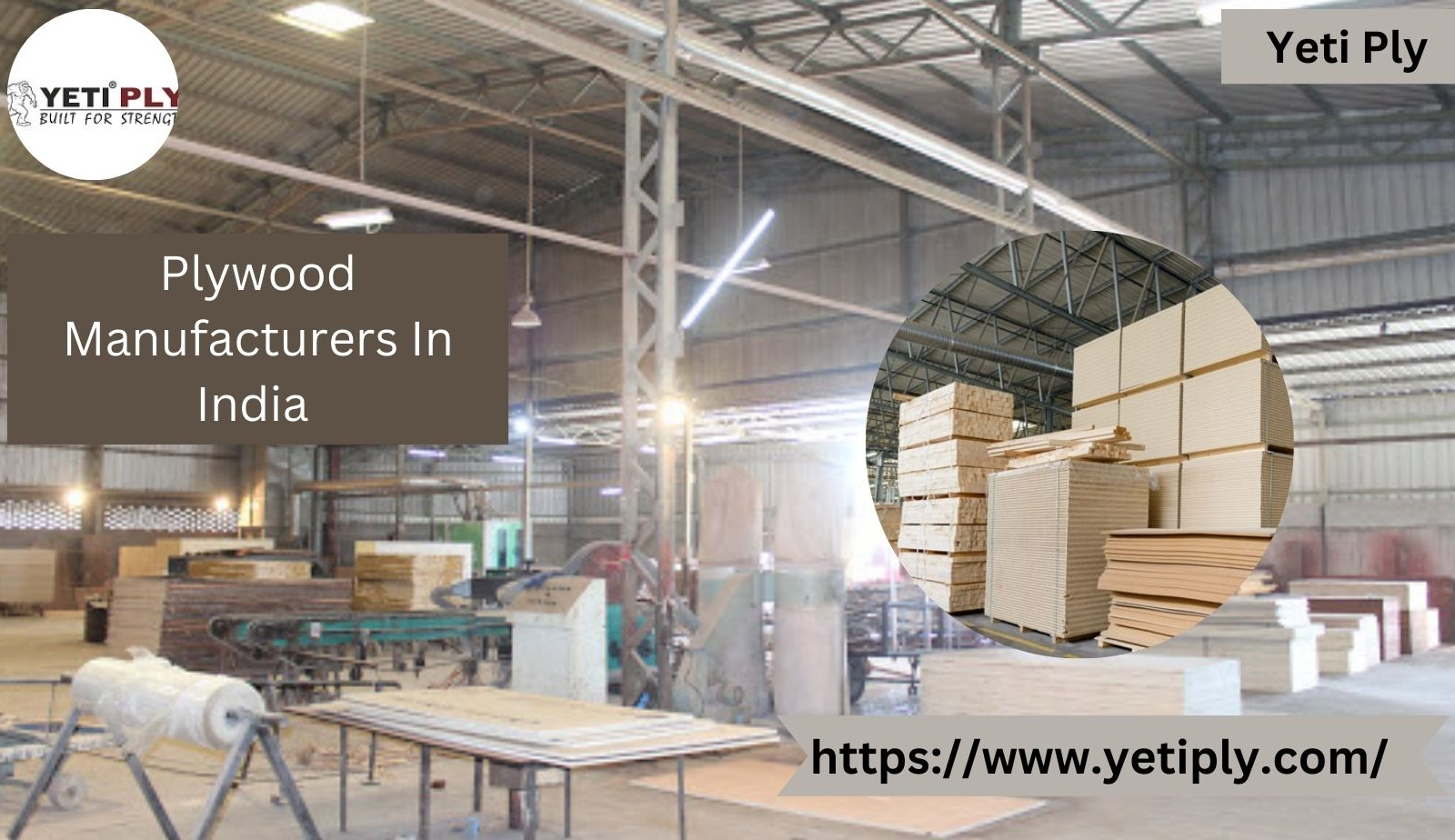 Plywood Manufacturers In India Yeti Ply by YETI PLY on Dribbble