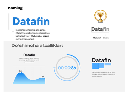 Datafin — Dasturiy ta'minot kompaniyasi uchun naming branding logotype naming