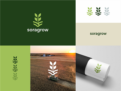 soragrow app branding design graphic design illustration logo vector