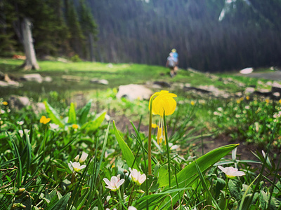 trail time snaps brand branding creative direction design hike identity logo thewayfindercompany