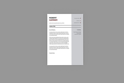 Robert Developer Resume Designer header