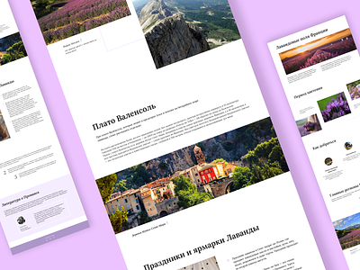 Longread about France lavender fields article design figma long read longread ui ux uxui design