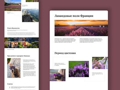 Long-read about Best Lavender Fields of Provence article design figma france lavender fields long read longread ui ux uxui design