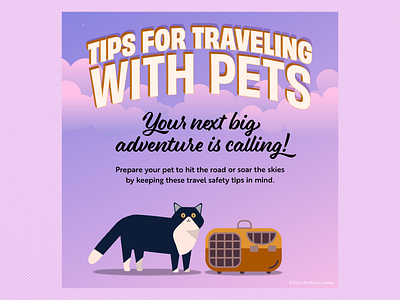 Tips for traveling with your pets infographic design graphic design hand lettering illustration infographic typography vector