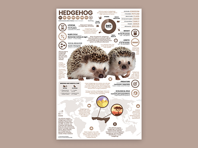 Hedgehog Poster animal poster education hedgehog hedgehog art hedgehog illustration hedgehog poster
