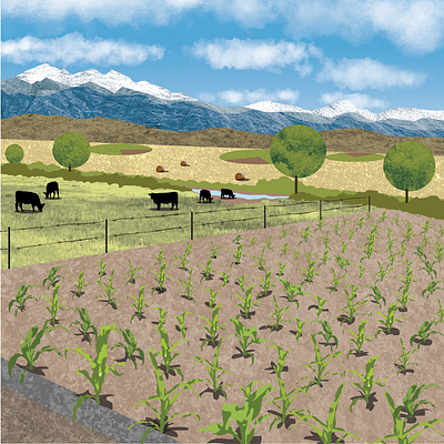 Agricultural Illustration - Front Range Plains agriculture cattle center pivot climate change colorado front range corn digital illustration environmental art future scenario illustration grazing hay bales mixed media plains rocky mountains row crops