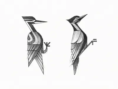 Woodpecker abstract birds brand designer brand identity branding creative emblem geometric hand drawn illustration logo logo designer logomark sign simple sketch sketches symbol visual identity woodpecker