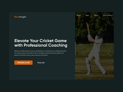 New Angel | Cricket Coaching ball cricket design fitness landingpage ui ux