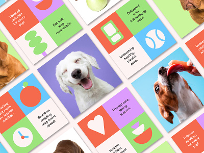 Furbowl: Social Media Branding branding colorful dog food dogs fun social media social posts