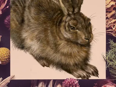 Hare drawing advertising animals art book branding brush design digital drawing fur graphic graphic design illustration print rebbit sketch styles