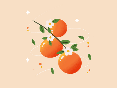 Oranges branch design flower fresh fruit fruits illustration illustrator ipad leaf orange oranges procreate still life summer visual art