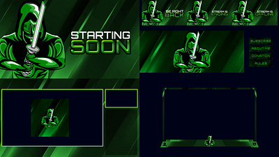 Complete Twitch Branding animation branding design graphic design