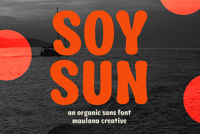 Soysun Organic Sans Display Font branding font fonts graphic design logo nostalgic