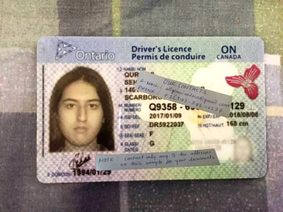 Browse thousands of Driver S Licence images for design inspiration ...