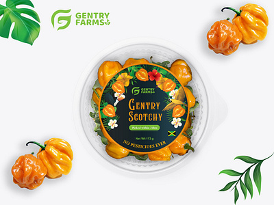 Gentry scotchy label design 3d branding design food fresh spice packaging graphic design illustration jamaica label logo motion graphics packaging product label scotch bonnet pepper spice label ui vector