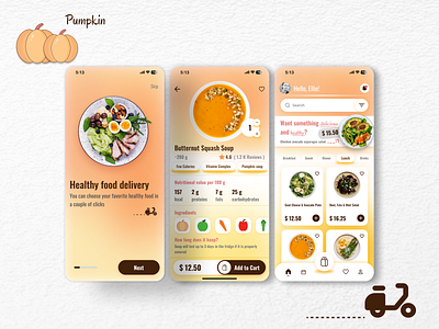 Pumpkin - application of proper nutrition application of proper nutrition branding delivery design graphic design illustration mobile app ui vector